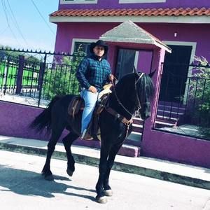 Meet your Posher, Jimmy